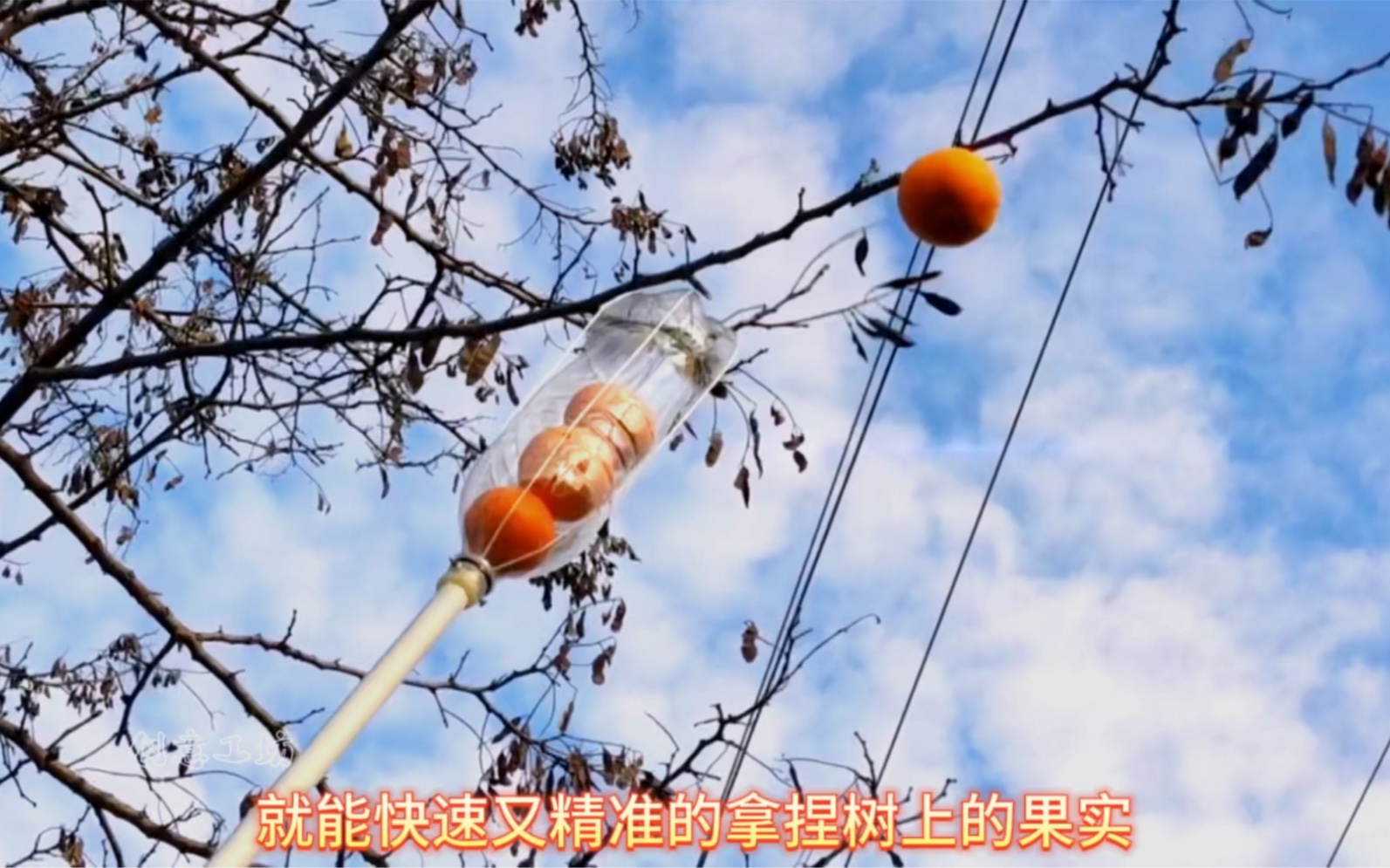 矿泉水瓶摘花椒神器图片