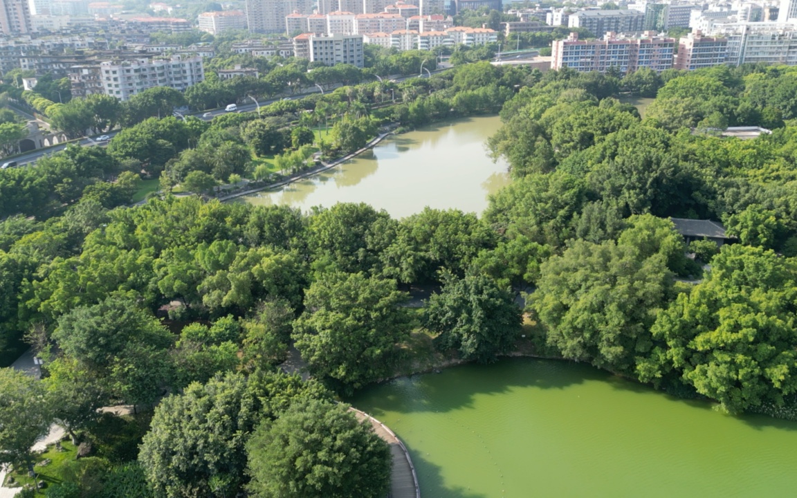 福州左海公园-大疆mini3pro俯瞰视角