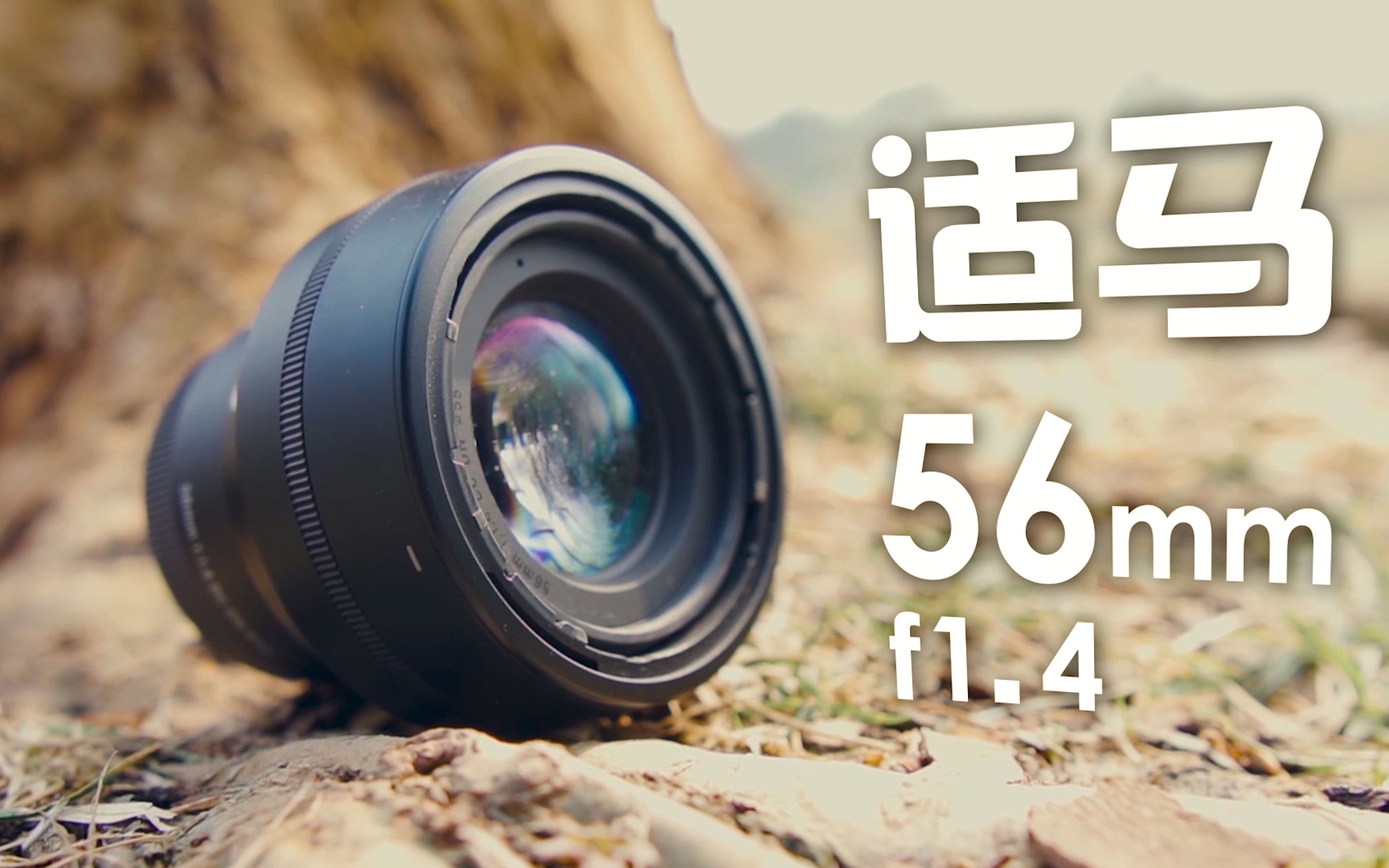 【镰月】适马56mm f1.4 APSC画幅的人像镜皇!(4K)哔哩哔哩bilibili