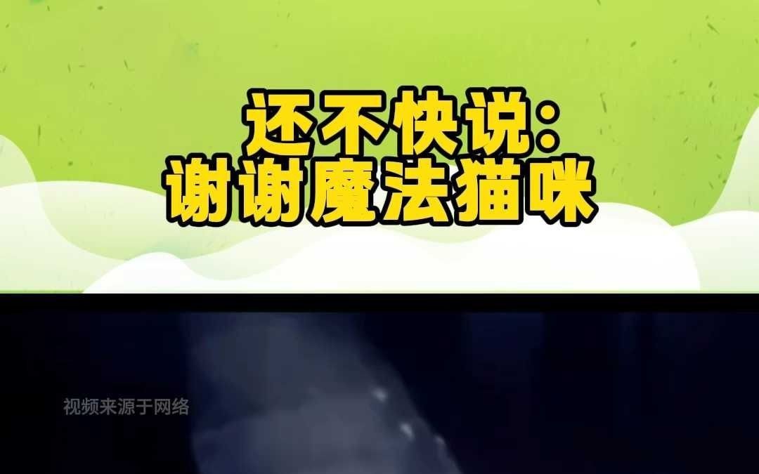 还不快说谢谢魔法猫咪