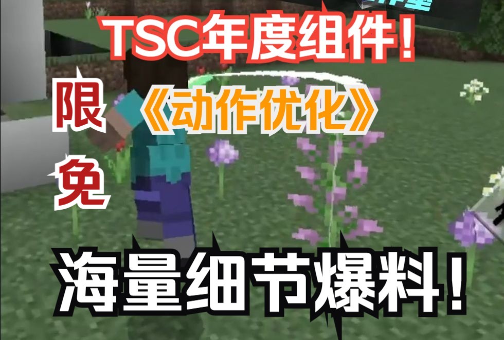 海量细节爆料!!TSC的限免《动作优化》真的是下血本了!我的世界