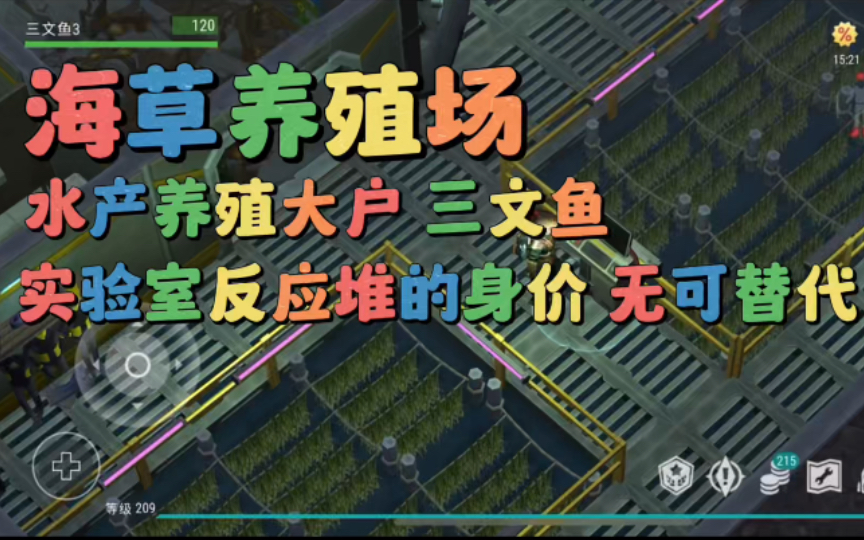 地球末日生存:实验室反应堆的秘密武器-海草量产