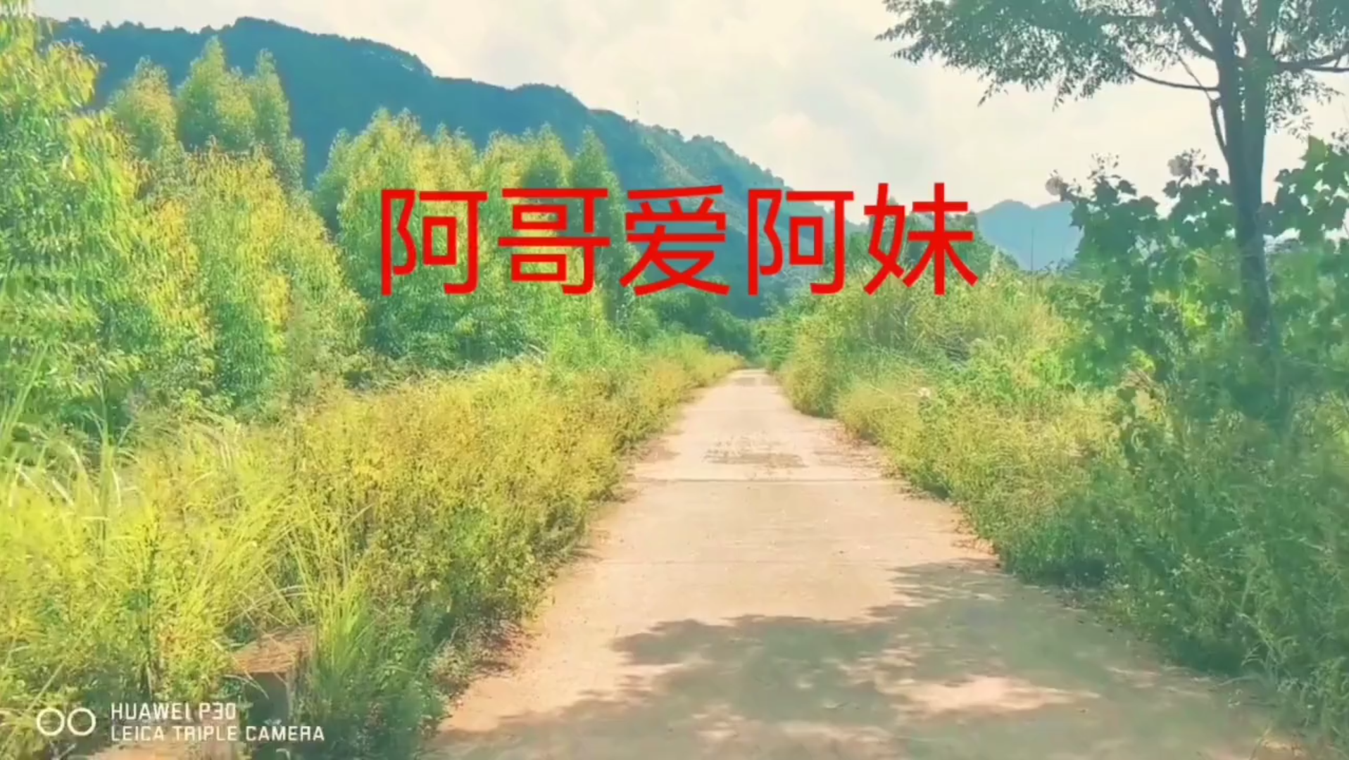 [图]《阿哥爱阿妹》