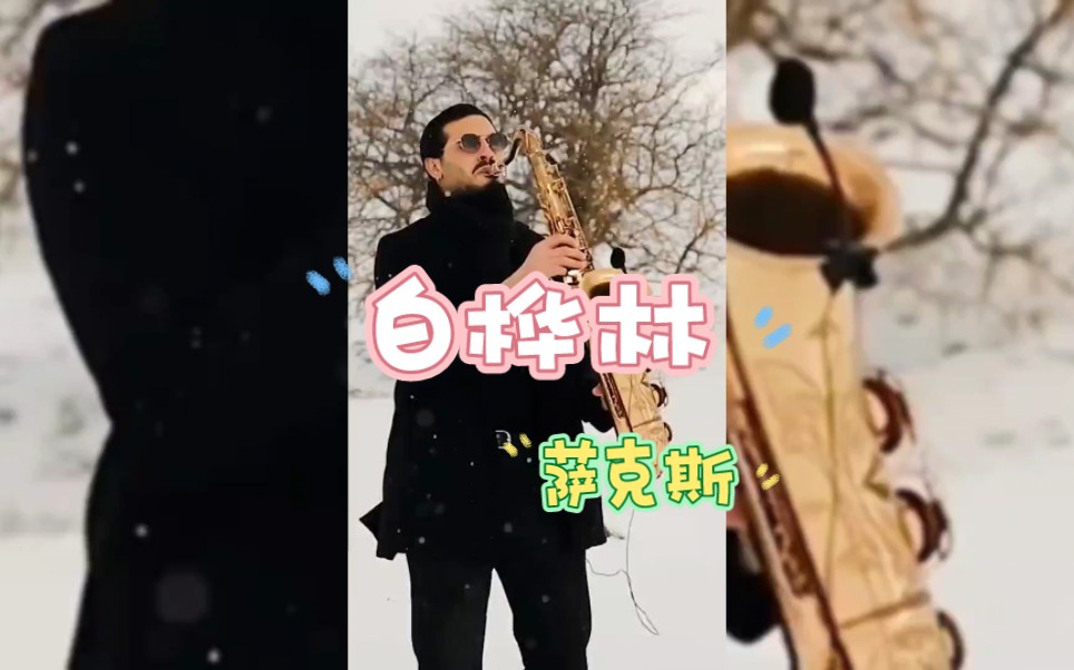 《白桦林》萨克斯版