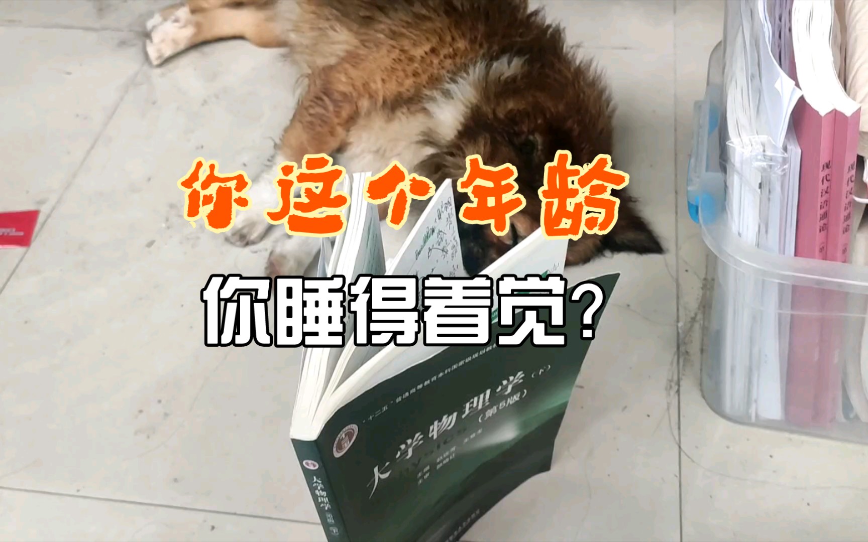 你这个年龄,你睡得着觉?_哔哩哔哩_bilibili