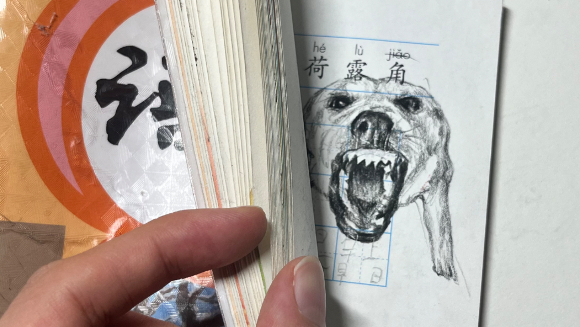当你在弟弟的小学课本上画大狗叫会发生什么？