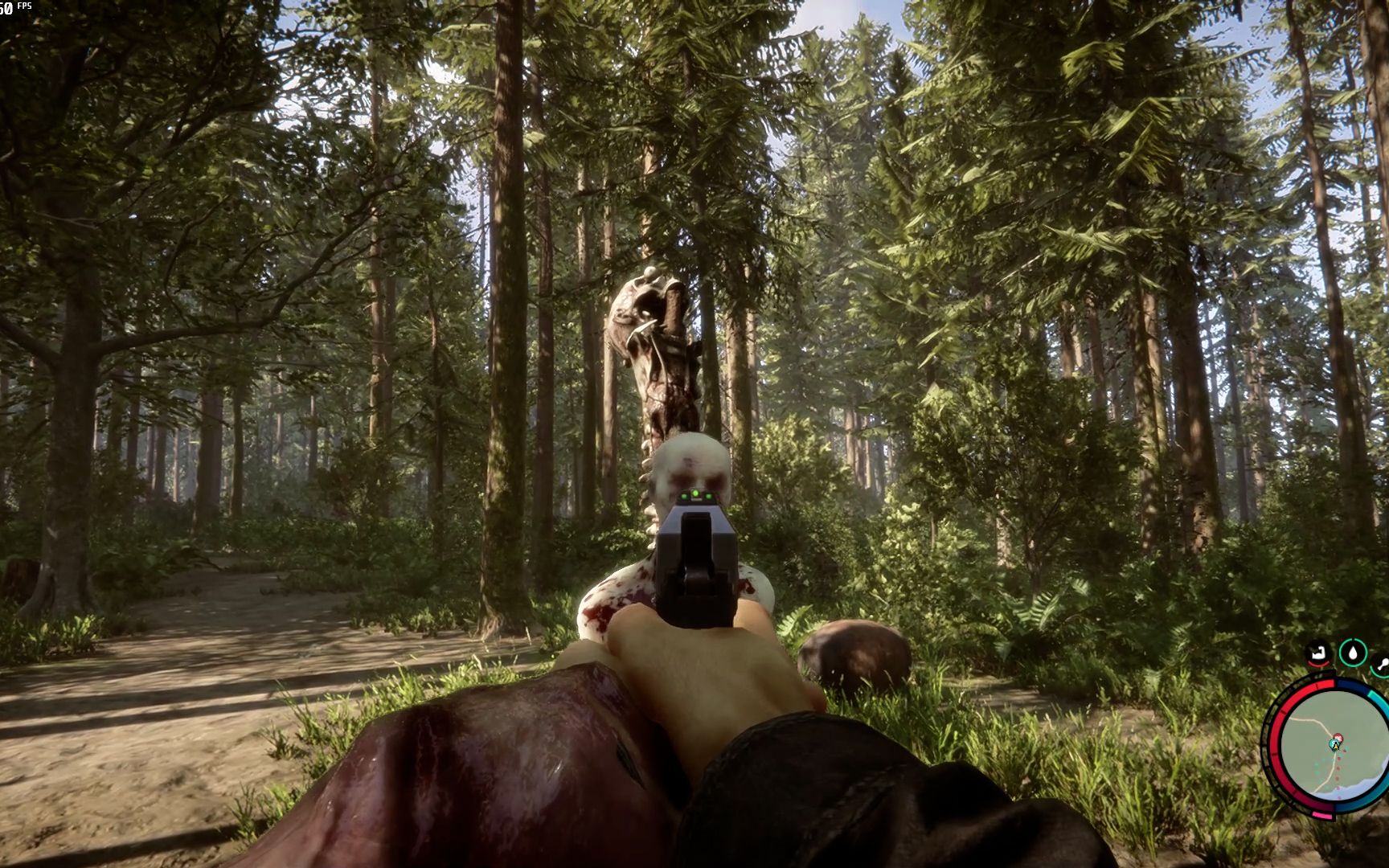 4k 森林之子 六人欢乐联机 第四期 出门探险