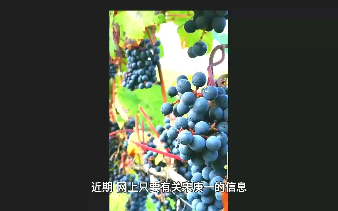 [图]宋庚一否认铁证如山的南京大屠杀，竟一派胡言做卖国贼，绝不轻饶