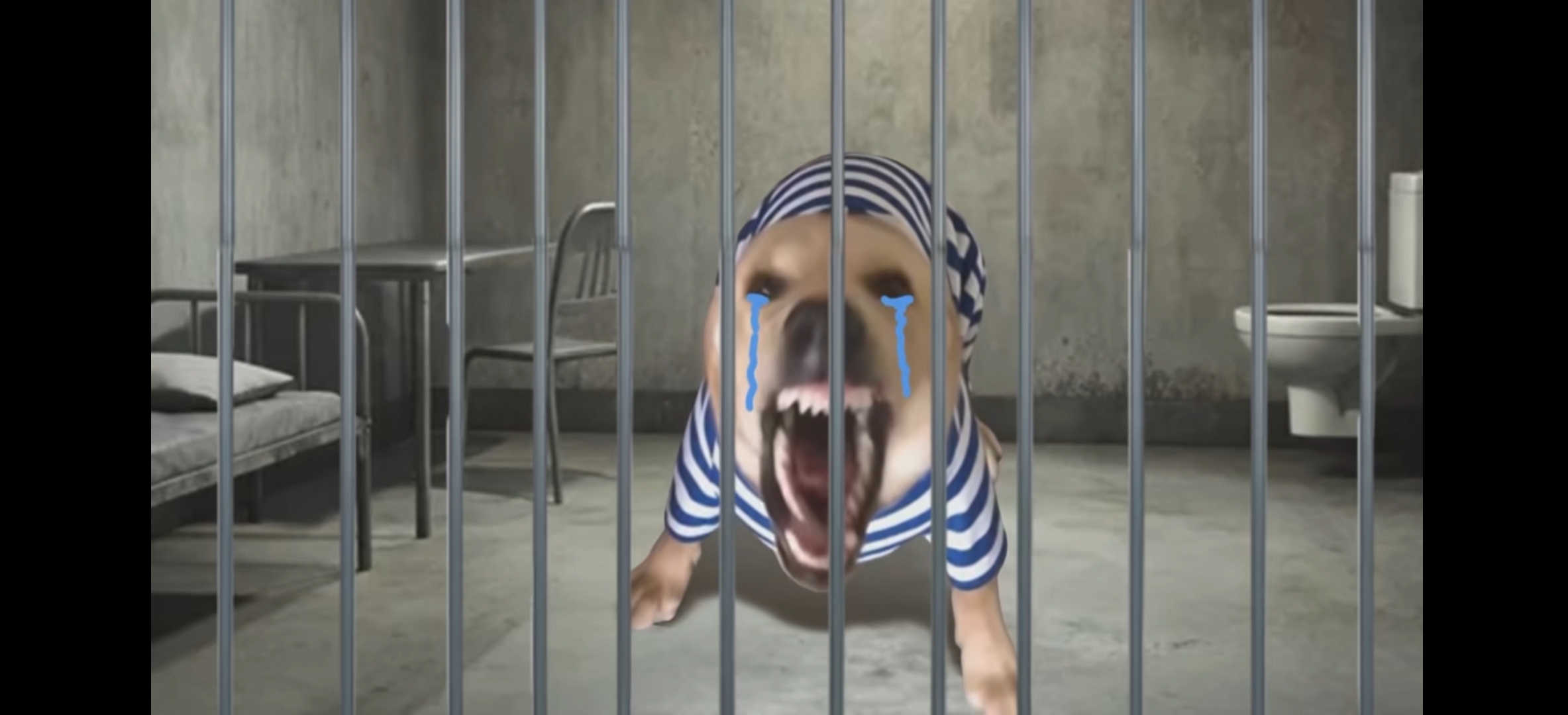 大狗大狗叫！