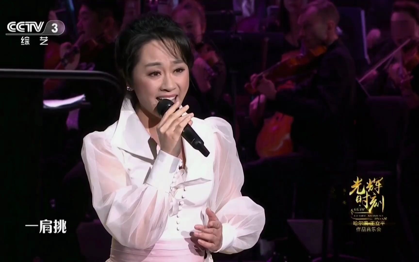 [王立平作品音乐会] 金婷婷《牧羊曲》