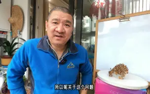 下载视频: 立冬了，小雪了，天冷了，零度了，还能不能栽种绣球花了？