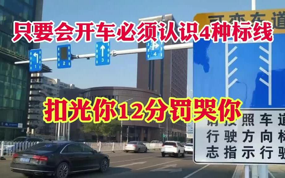 开车容易走错4种标志标线!走错扣光十二分!最容易走错4种标线!哔哩哔哩bilibili