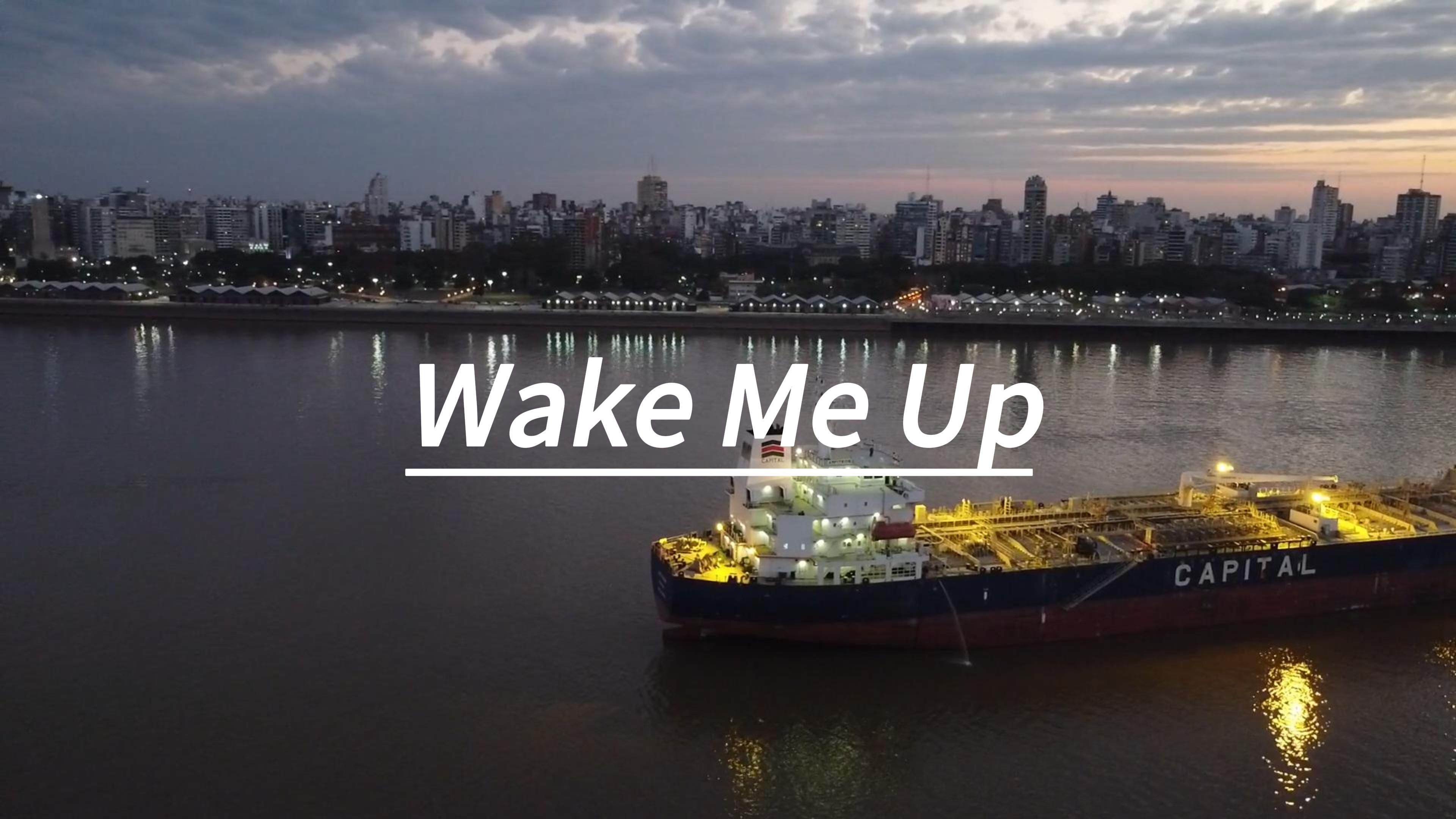 《wake me up》,"人生就是一场游戏,而爱只是奖励"