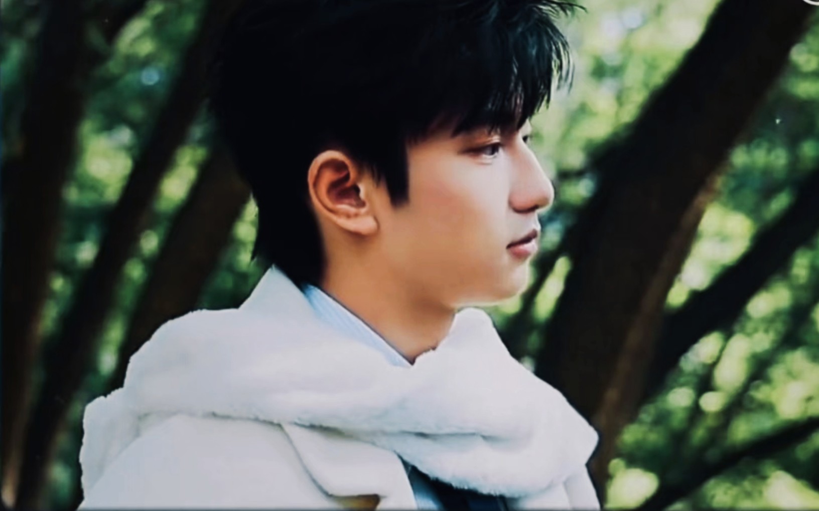 【tf家族 | 穆祉丞】 这个角落是独属于你我的一方天地,获取能量与