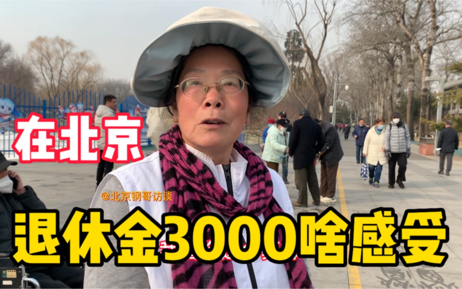 北京阿姨退休金3000心态好,双手飞快写字玩出精气神!哔哩哔哩bilibili