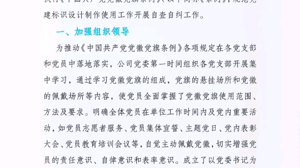 央企開展黨徽黨旗規範使用管理情況自查整改報告