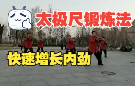 太极拳爱好者必看,快速长内劲的 “ 太极尺锻炼法 ”!哔哩哔哩bilibili