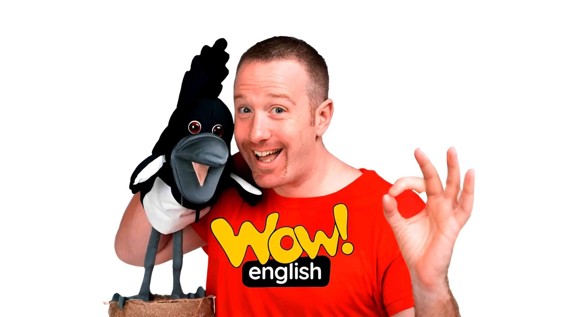 Wow English 第一季 全30集无删减 黄色 超清全集