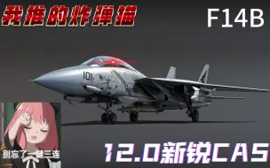 Download Video: 【战争雷霆】阿美莉卡新锐精确制导打击选手——F14B“炸弹猫”陆历击杀集锦