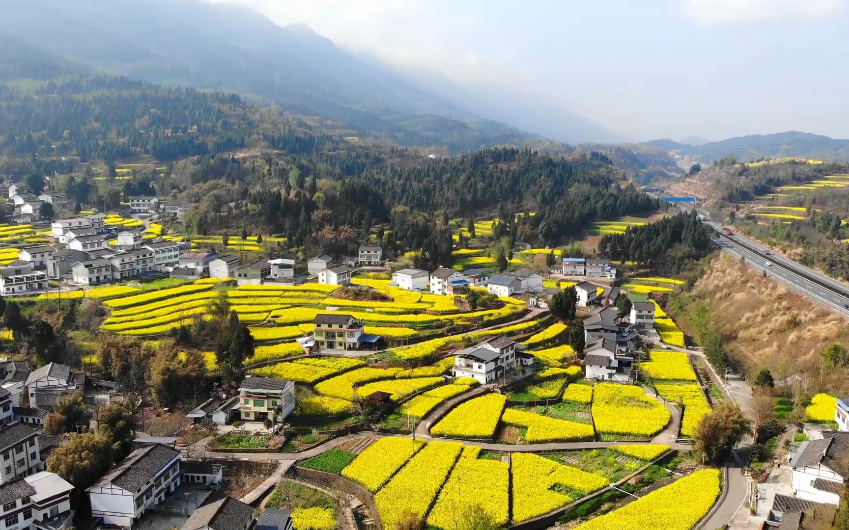 自驾游途中,偶然发现一处天然油菜花海,四川广元泥窝村,让人惊艳,旅途