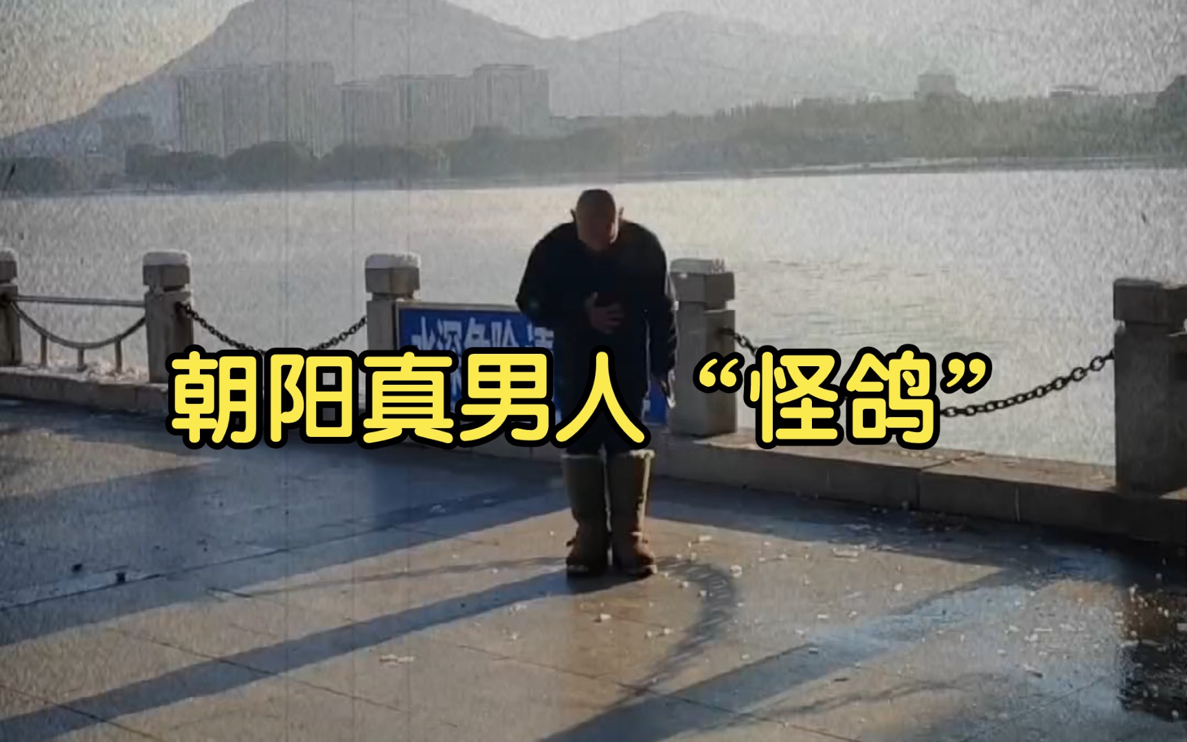 巨人的鞠躬是为了让你看见更好的朝阳#朝阳冬泳怪鸽
