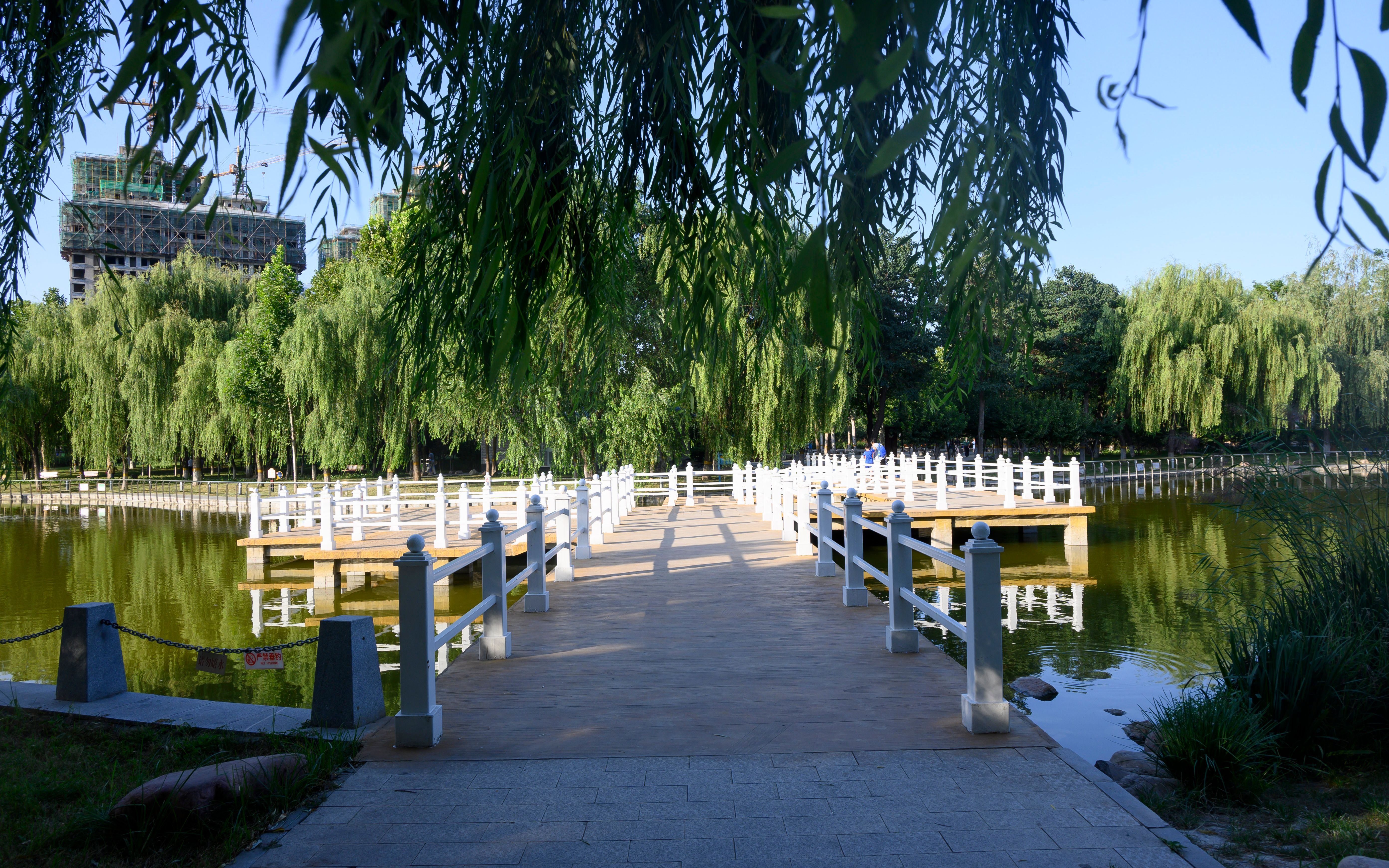 石家庄市  东环公园