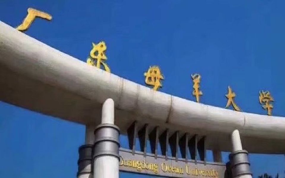 厂东母羊大学!沙雕网友使我快乐【第九期】_哔哩哔哩_bilibili