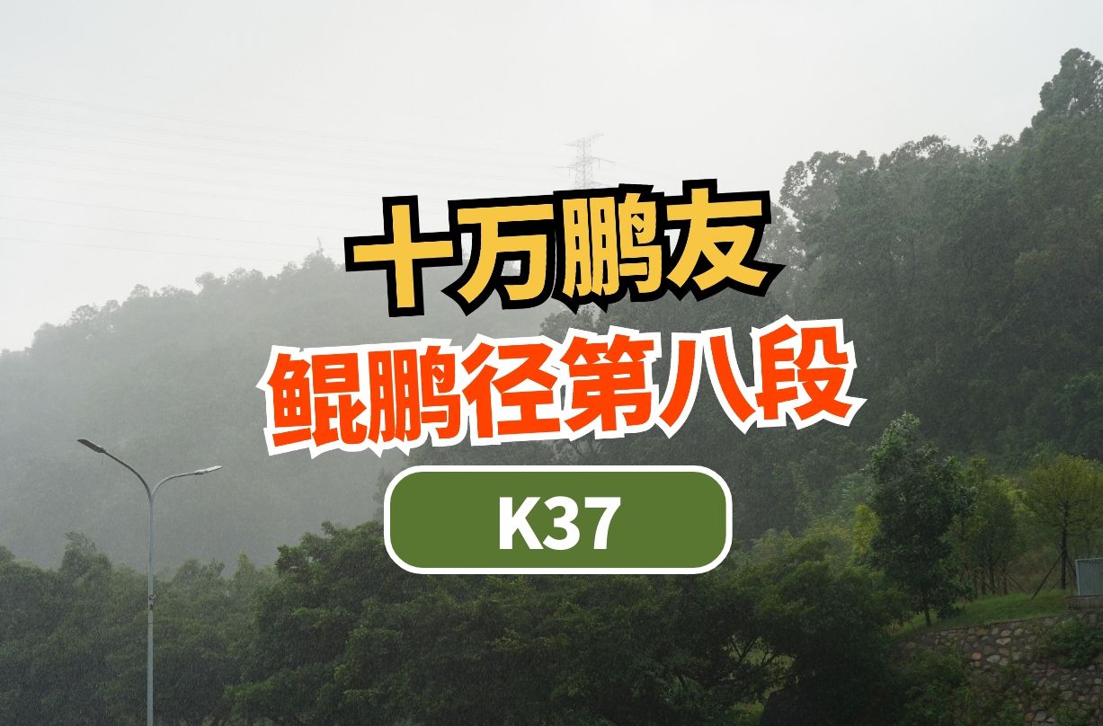 今天带领28位鹏友探索鲲鹏径第八段(反穿),却因为天气临时下撤哔哩哔哩bilibili