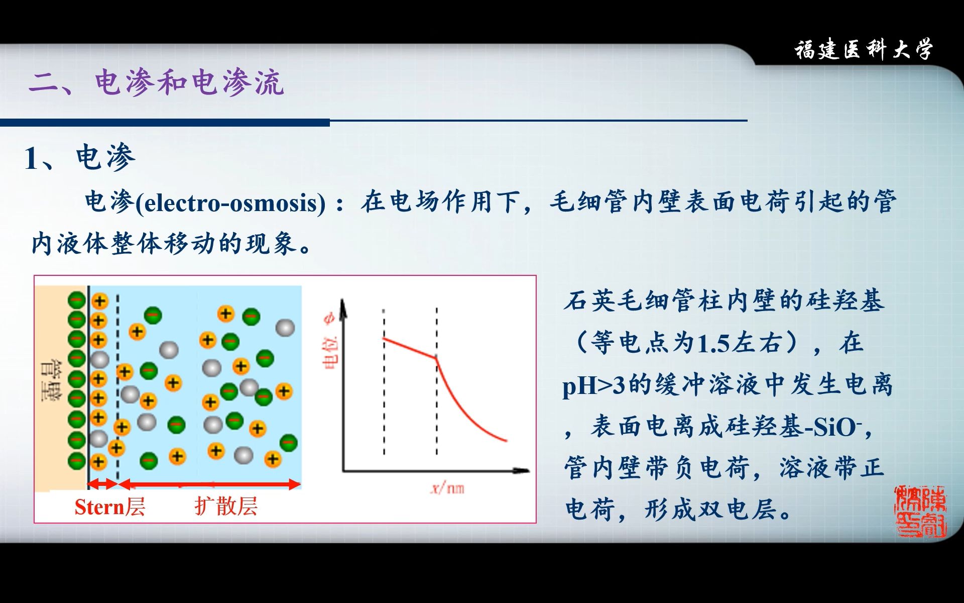 【仪器分析】11高效毛细管电泳分析法1(基本原理)哔哩哔哩bilibili