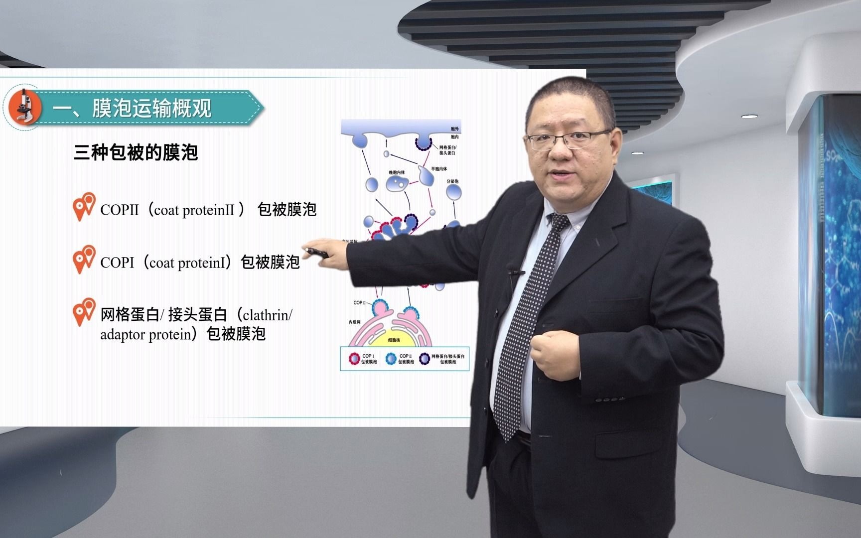 8.2细胞内膜泡运输细胞生物学赵宇玮哔哩哔哩bilibili