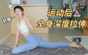 Descargar video: 10分钟全身深度拉伸！刘畊宏女孩必备！身材纤细又柔软！