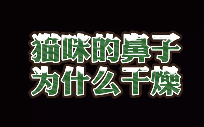 【瑞派宠医】看完这条视频,有多少铲屎官要去摸摸主子的鼻子干不干?哔哩哔哩bilibili