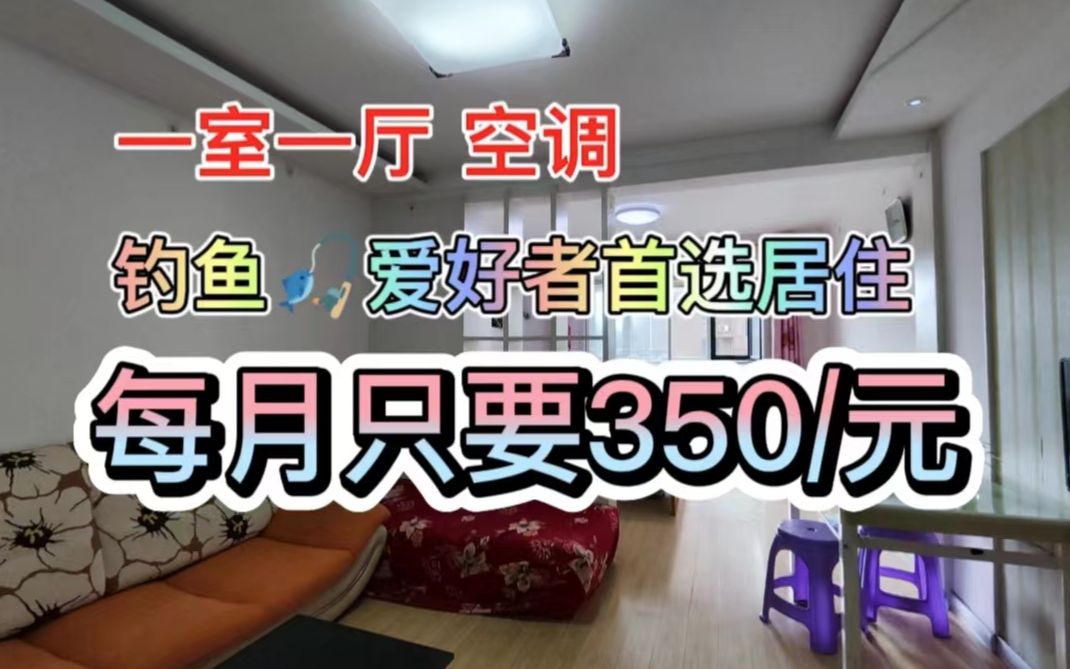 一室一厅 转租10月每月租金350元哔哩哔哩bilibili