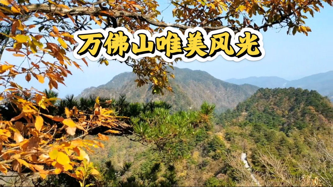 安徽万佛山,风景真好看.(六安.舒城)哔哩哔哩bilibili