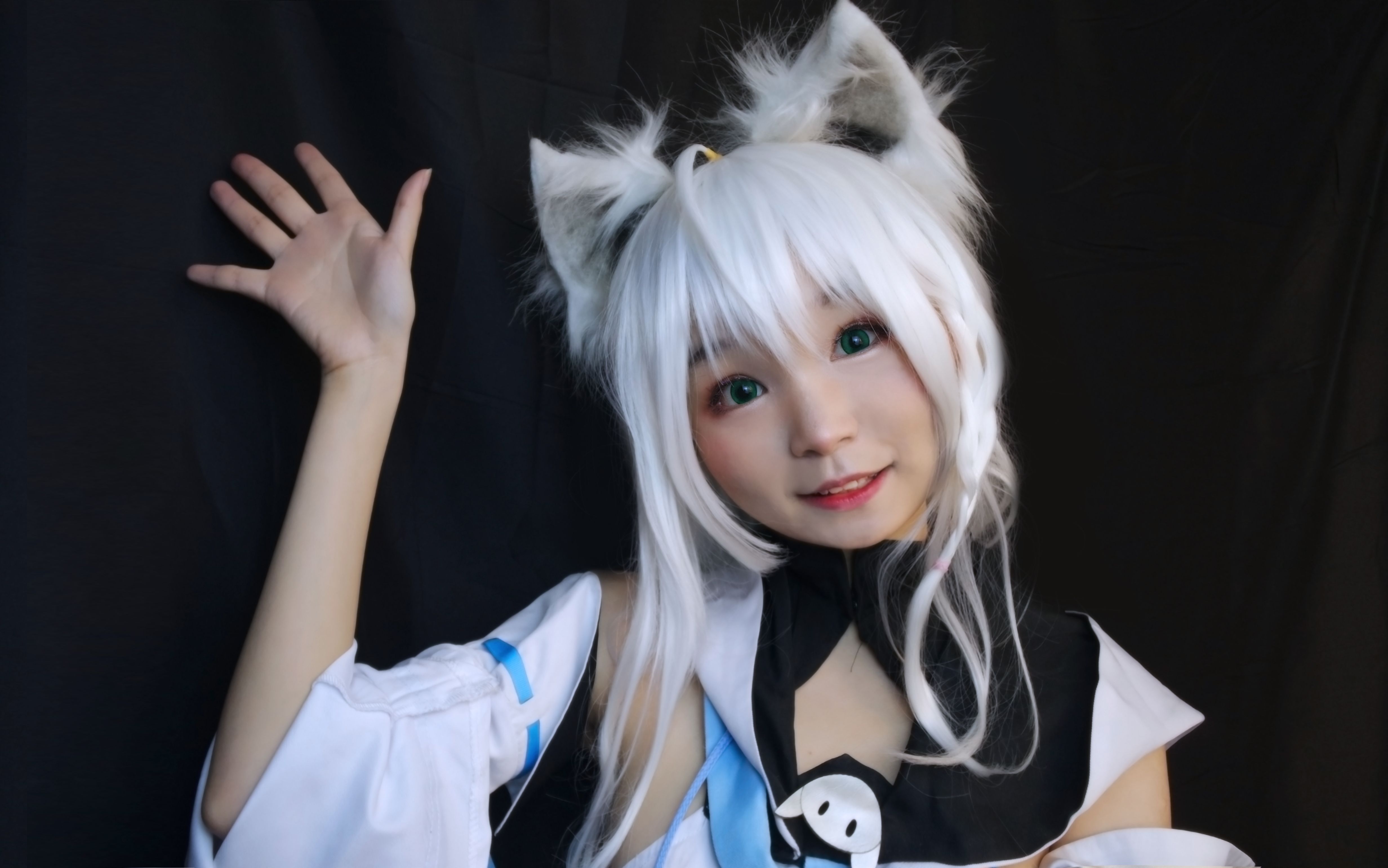 活动作品碳球喵系狐狸不系猫咪cos白上吹雪初投稿