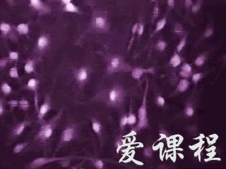 [图]【细胞生物学】东北师范大学丨含课件