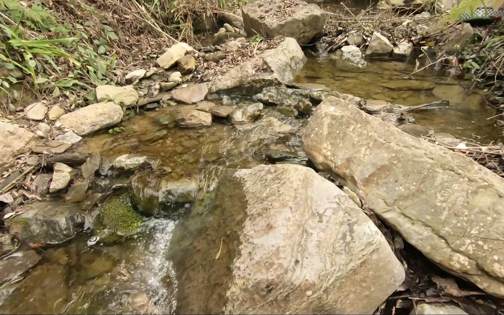 [图]洪荒之野寻石记（4）-在山谷小溪中发现一块化石密集的漂亮石头