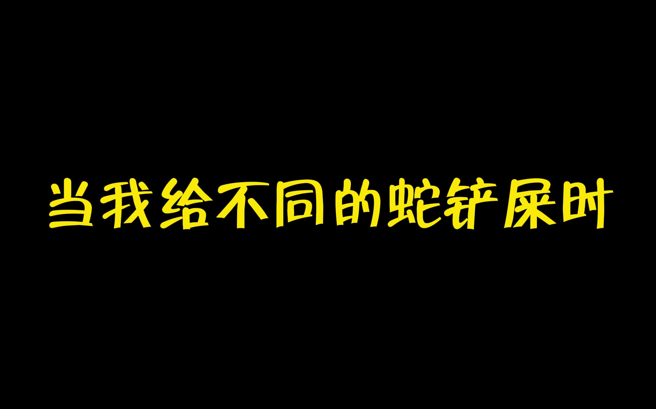 【阿畅】当我给不同的蛇铲屎时哔哩哔哩bilibili