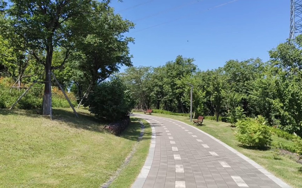 雨后来天气凉爽