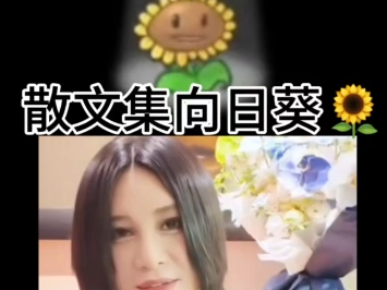 散文集向日葵哔哩哔哩bilibili