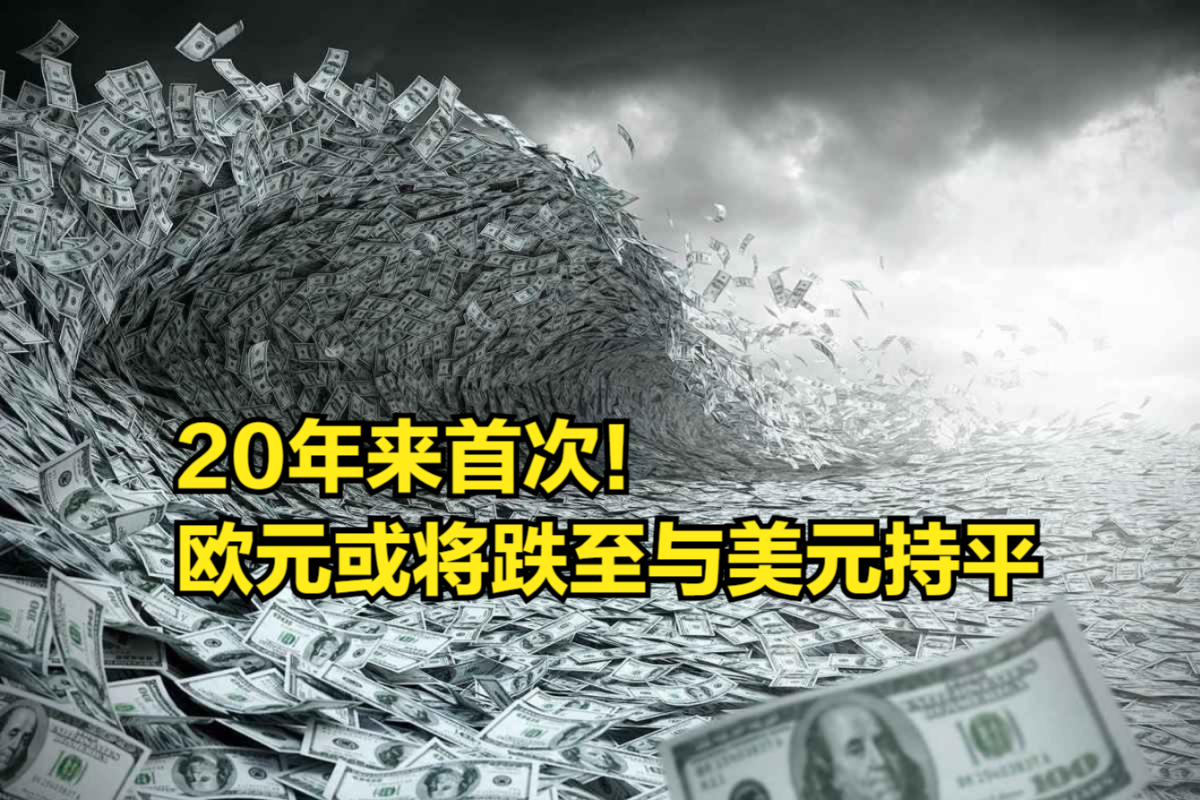 20年来首次!外汇交易员预计:欧元将跌至与美元持平哔哩哔哩bilibili