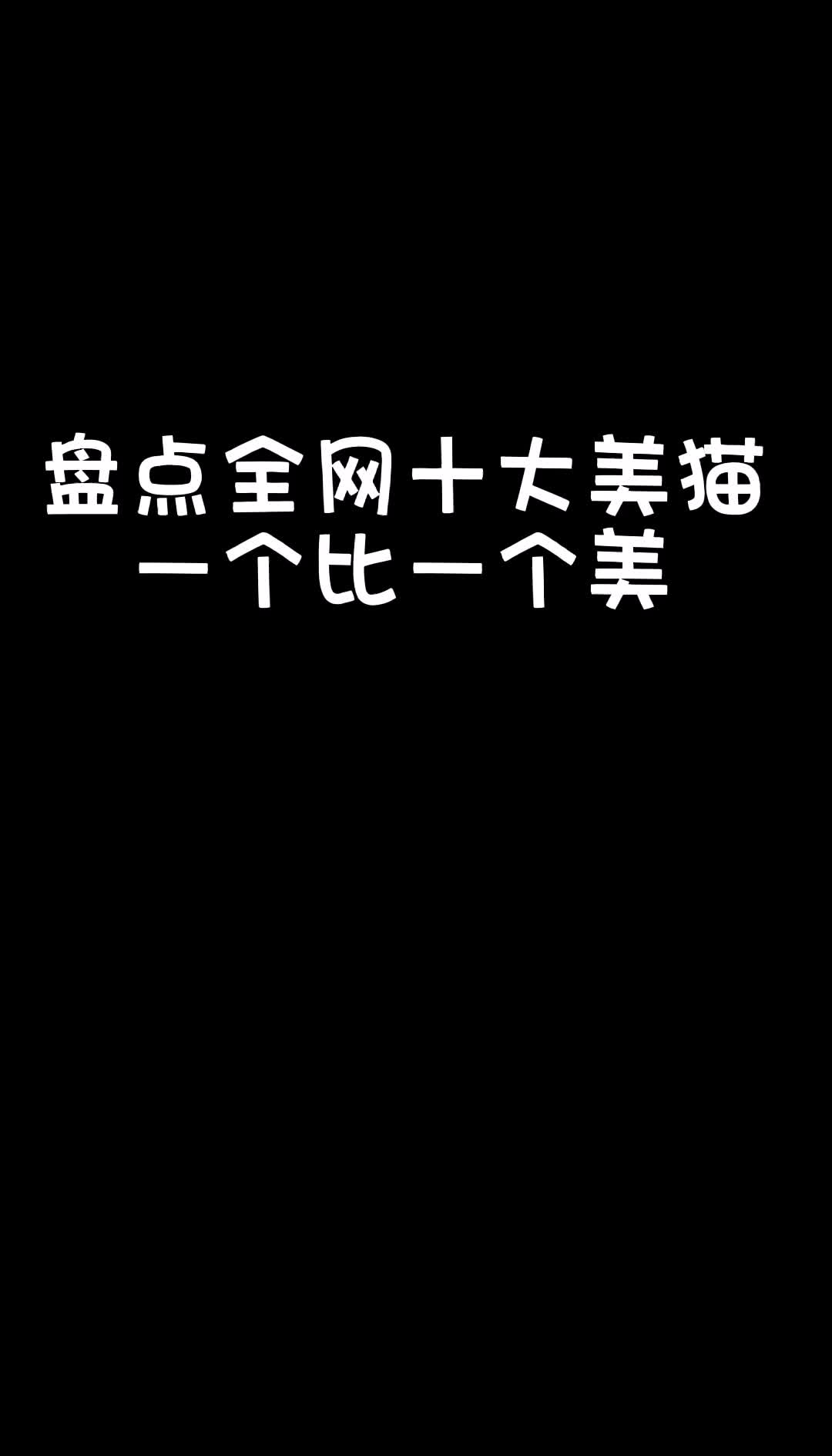 盘点全网十大美猫一个比一个美哔哩哔哩bilibili