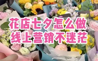 七夕花 哔哩哔哩 Bilibili