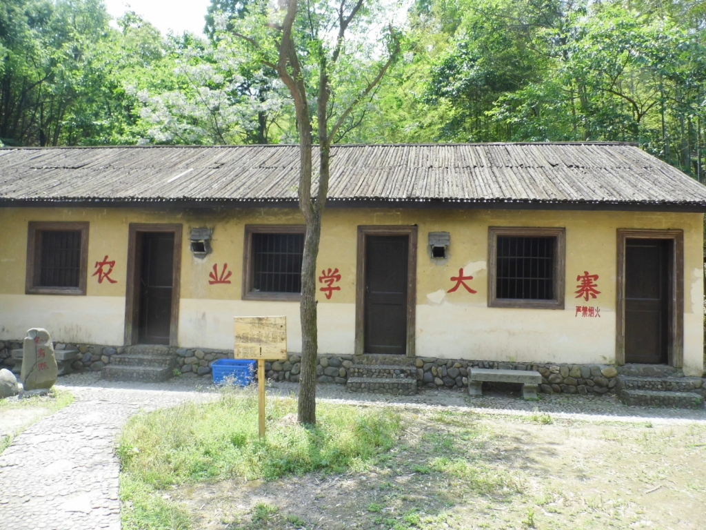 农业学大寨