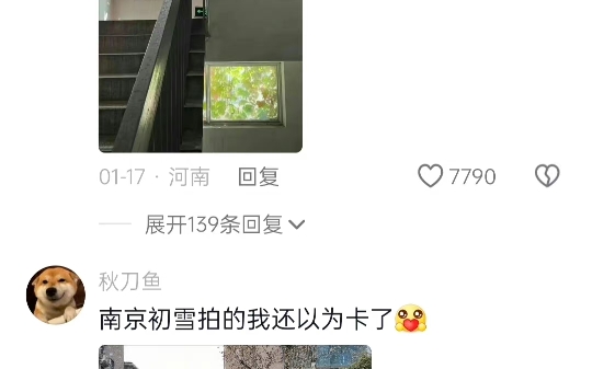 四象限构图真的有点东西....哔哩哔哩bilibili