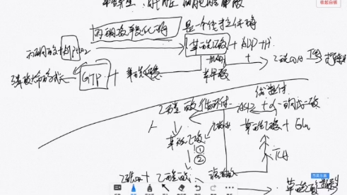 生物化学代谢里的穿梭机制(线粒体内膜)哔哩哔哩bilibili