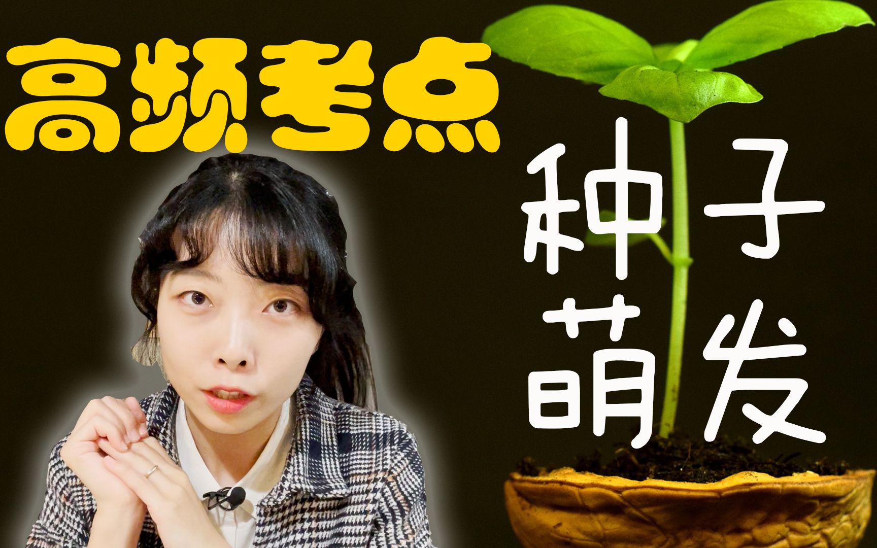 [图]高中生物【种子萌发】水、有机物、细胞呼吸、植物激素 种子高频考点大突破｜细胞代谢