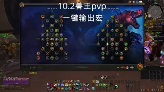 Download Video: 10.25兽王pvp一键宏