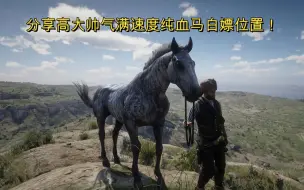 Descargar video: 【荒野大镖客2：第二章就可获得速度最快的马，斑纹纯血马位置地点】