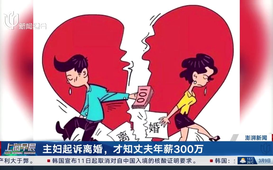 全职太太离婚时,丈夫隐瞒年薪300万收入,法院判女方分得60%哔哩哔哩bilibili